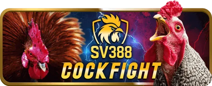 Giao dịch nhanh chóng 9win nhà cái